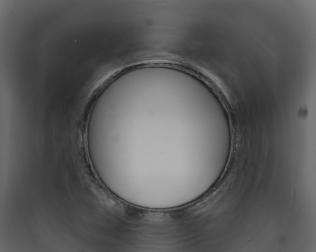 X0000090421407200707130937