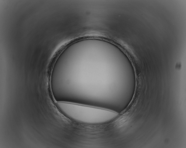 X0000090421408200707130937