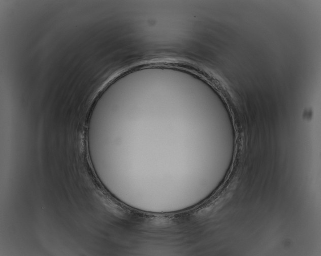 X0000090421409200707130937
