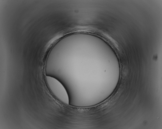 X0000090421411200707130937