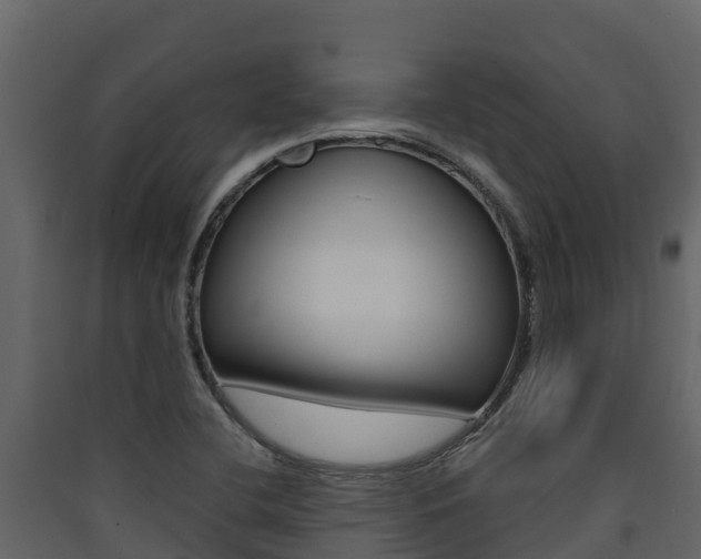 X0000090421412200707130937