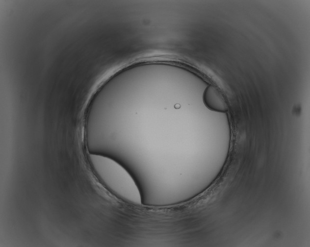X0000090421413200707130937