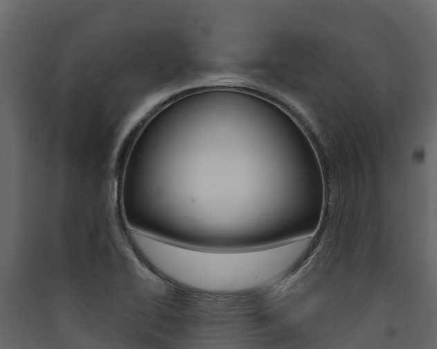 X0000090421414200707130937