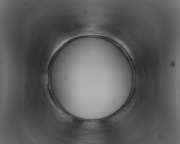 X0000090421415200707130937