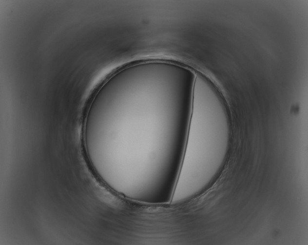 X0000090421416200707130937