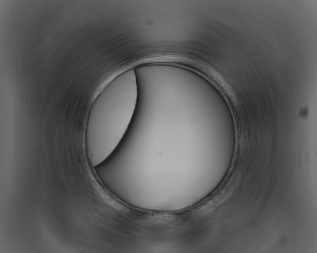X0000090421417200707130937