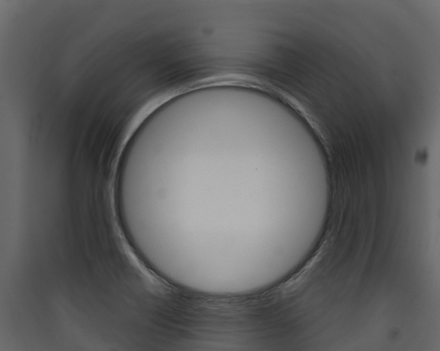 X0000090421418200707130937