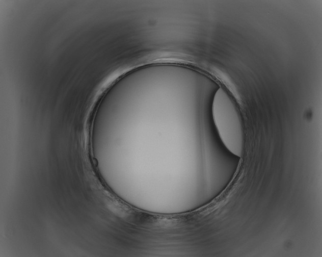 X0000090421419200707130937