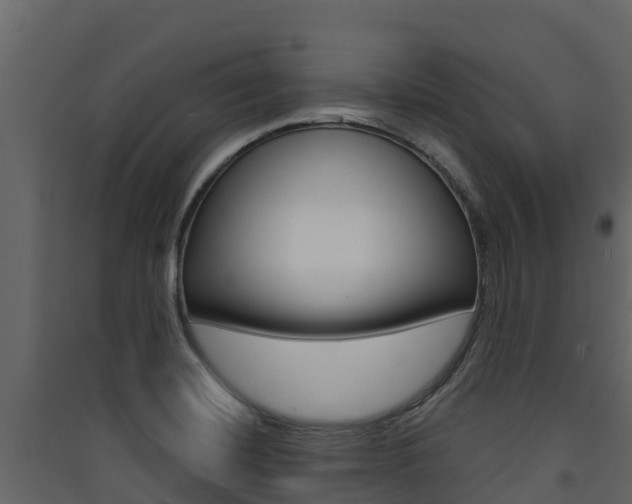 X0000090421420200707130937