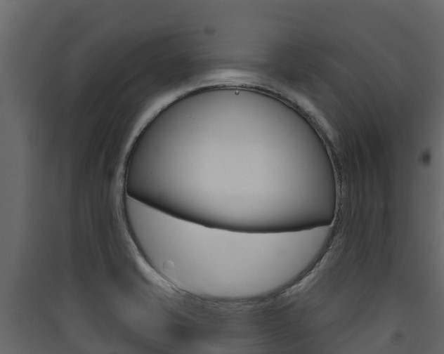 X0000090421421200707130937