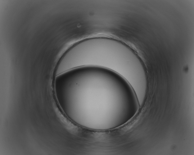 X0000090421422200707130937