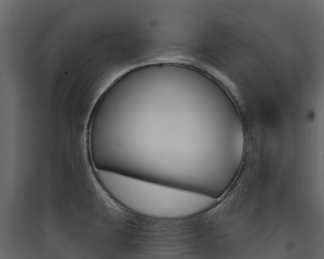 X0000090421423200707130937