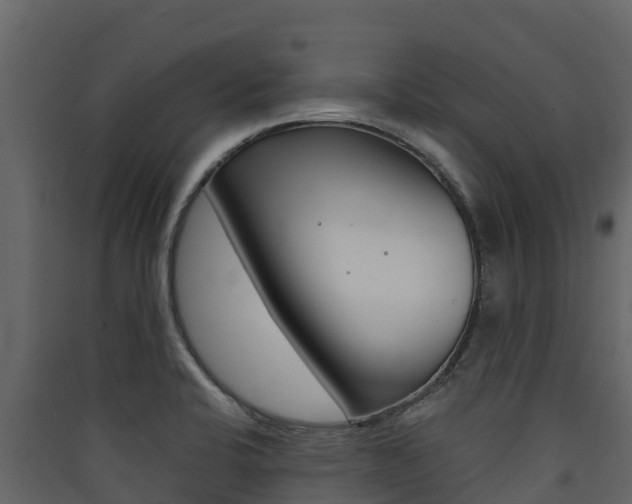 X0000090421424200707130937