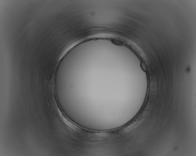 X0000090421425200707130937
