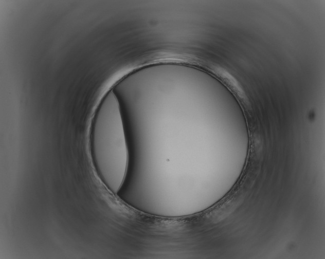X0000090421427200707130937