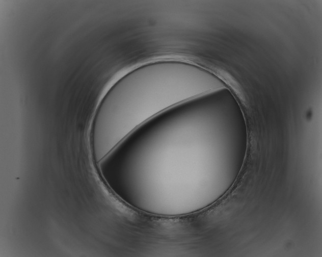 X0000090421428200707130937