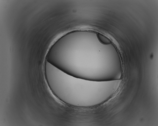 X0000090421429200707130937