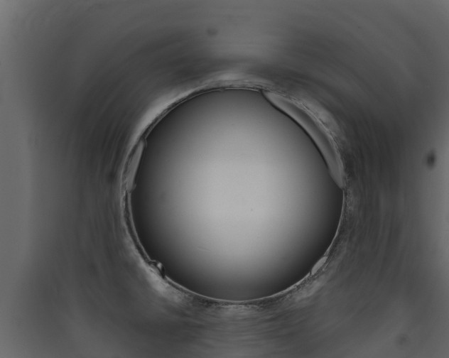 X0000090421430200707130937