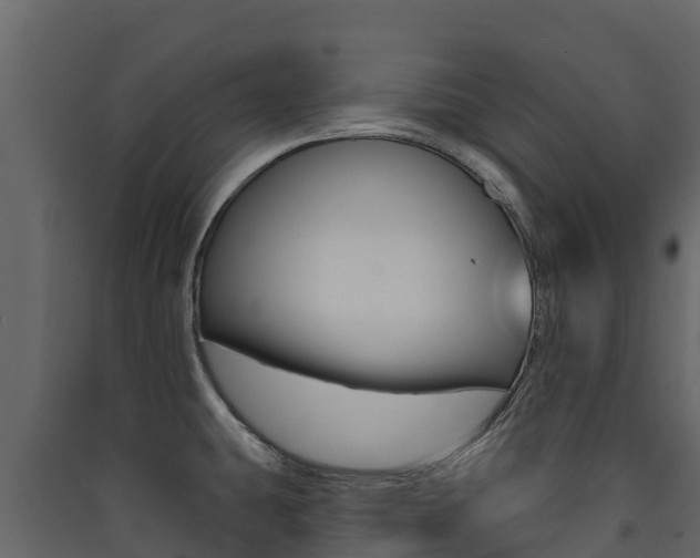 X0000090421431200707130937