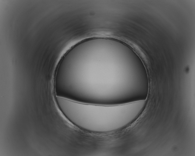 X0000090421432200707130937