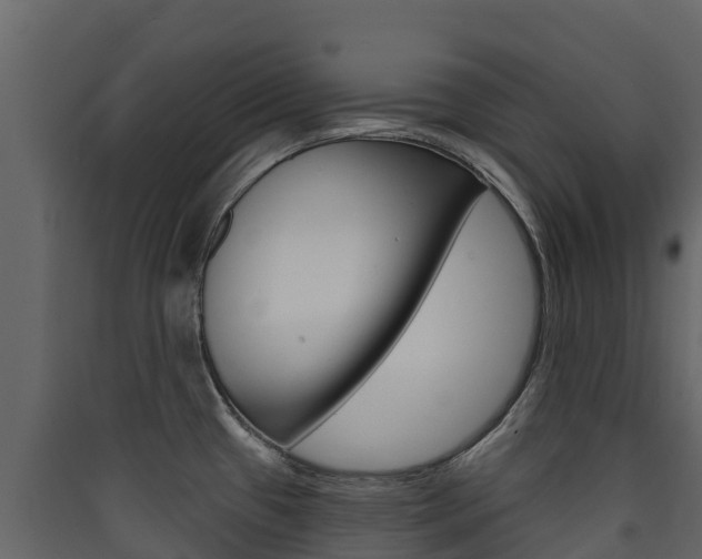 X0000090421433200707130937