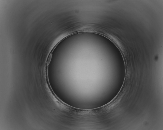 X0000090421434200707130937