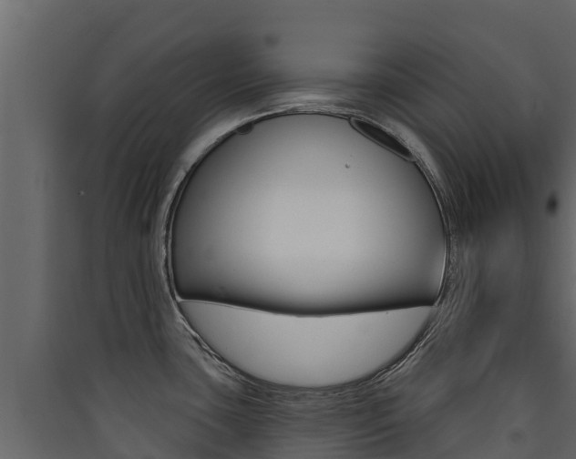 X0000090421435200707130937