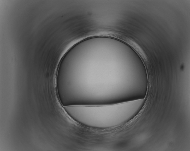 X0000090421436200707130937