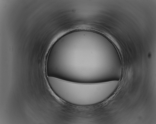 X0000090421437200707130937
