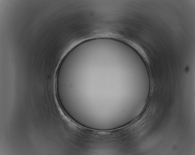X0000090421439200707130937