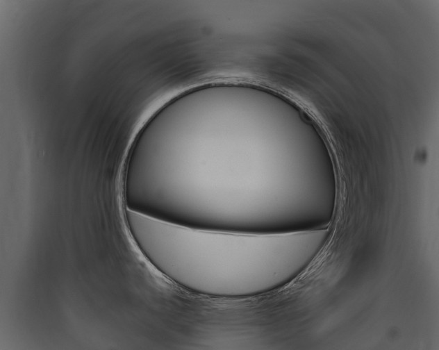 X0000090421440200707130937