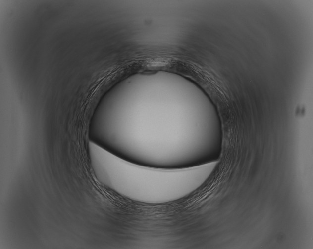 X0000090421441200707130936
