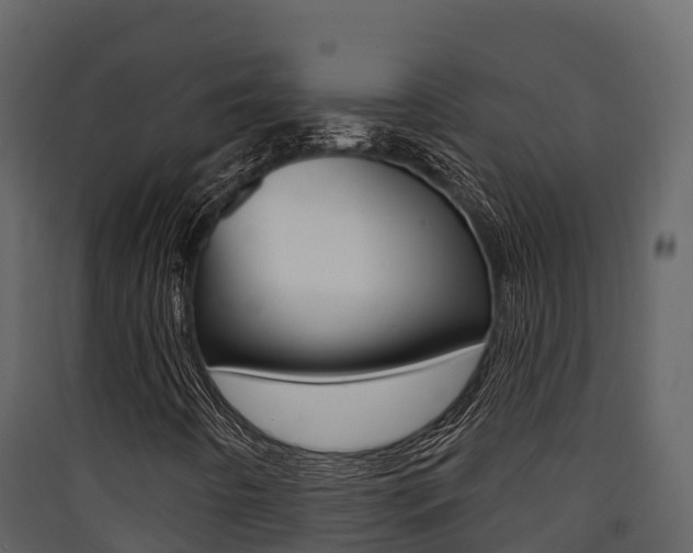 X0000090421442200707130936
