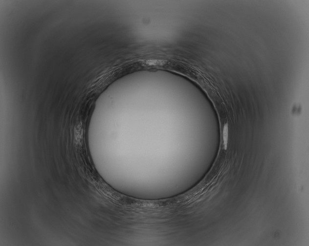 X0000090421443200707130936