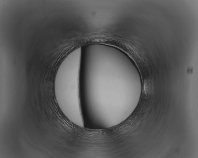 X0000090421444200707130936
