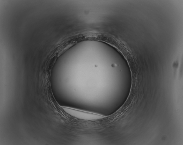 X0000090421445200707130936