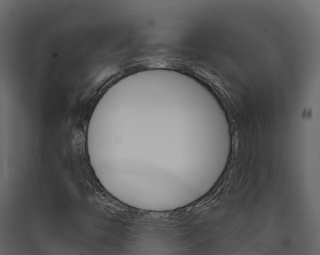 X0000090421446200707130936