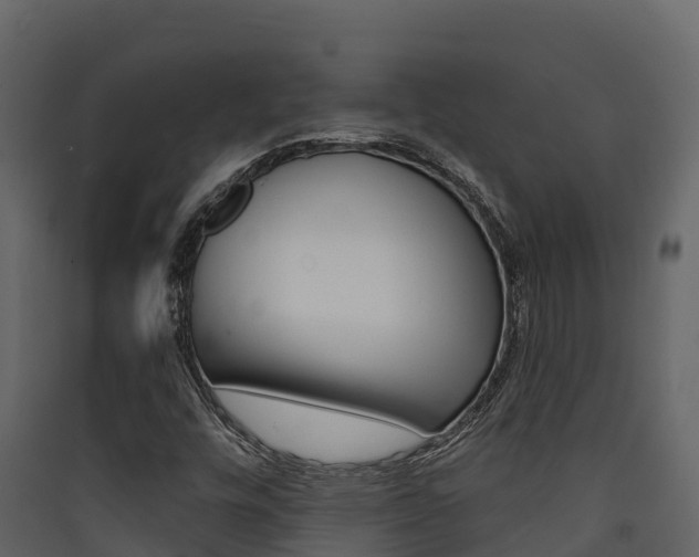 X0000090421448200707130936