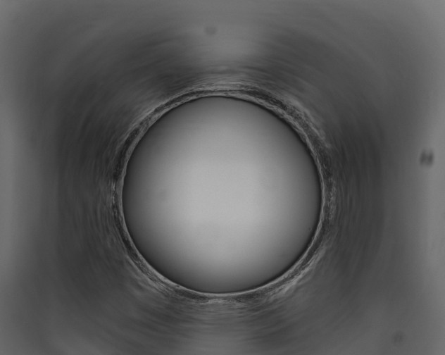 X0000090421449200707130936