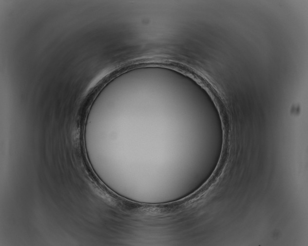 X0000090421450200707130936