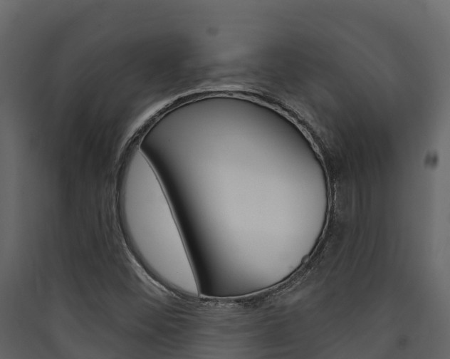 X0000090421452200707130936