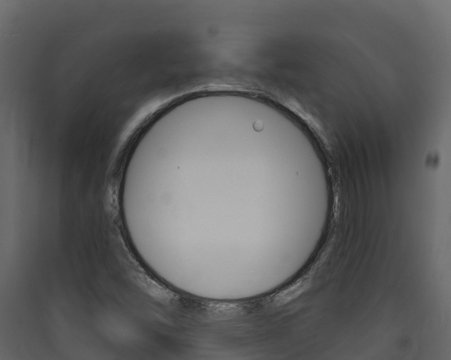 X0000090421454200707130936