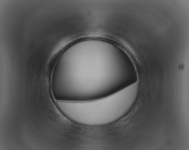 X0000090421456200707130936