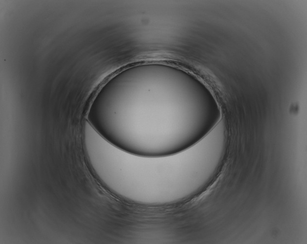 X0000090421457200707130936