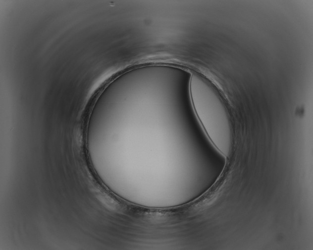 X0000090421458200707130936