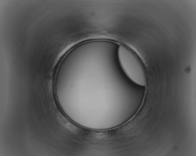 X0000090421460200707130936