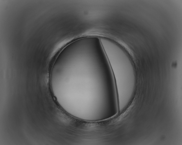 X0000090421461200707130936