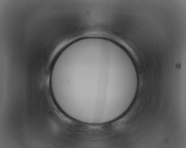 X0000090421462200707130936
