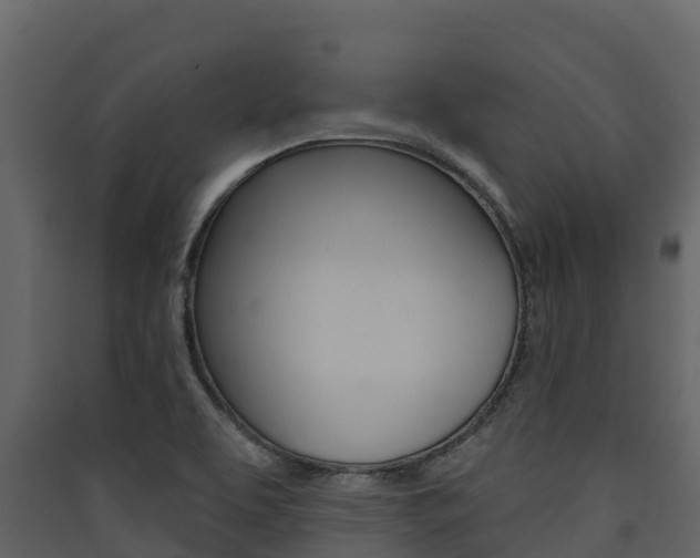 X0000090421463200707130936