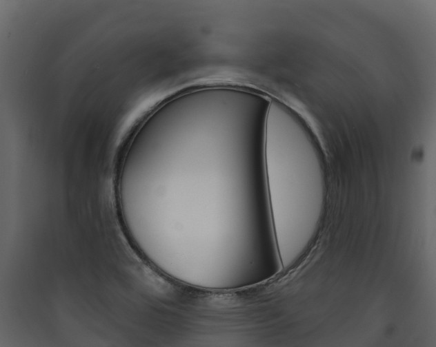 X0000090421464200707130936